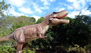 Imagem de dinossauro do parque dos dinossauros.